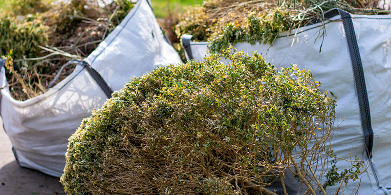 4 Signs You Need Professional Debris Removal Services